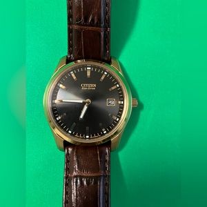 Men’s Citizens Watch